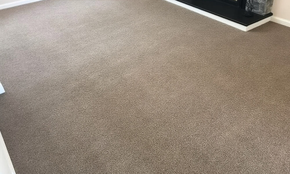 Carpet and Upholstery Cleaning Services